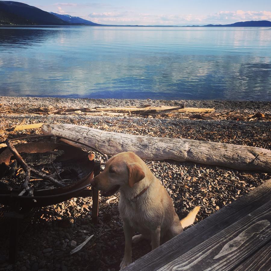 Flathead * Woods Bay